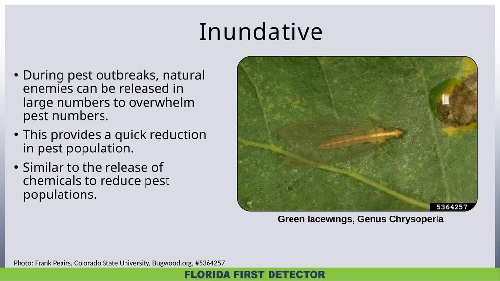 Biological Controls Biological control – - slide 13 of 21