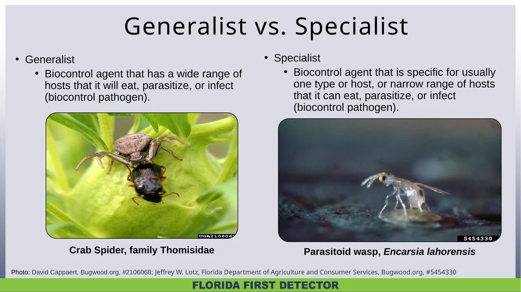 Biological Controls Biological control – - slide 8 of 21