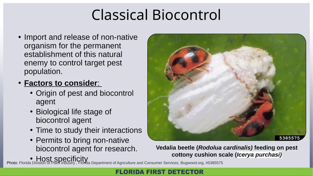 Biological Controls Biological control – - slide 9 of 21