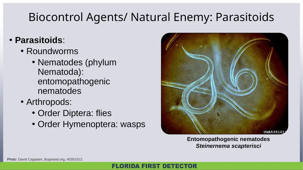 Biological Controls Biological control – - slide 5 of 21