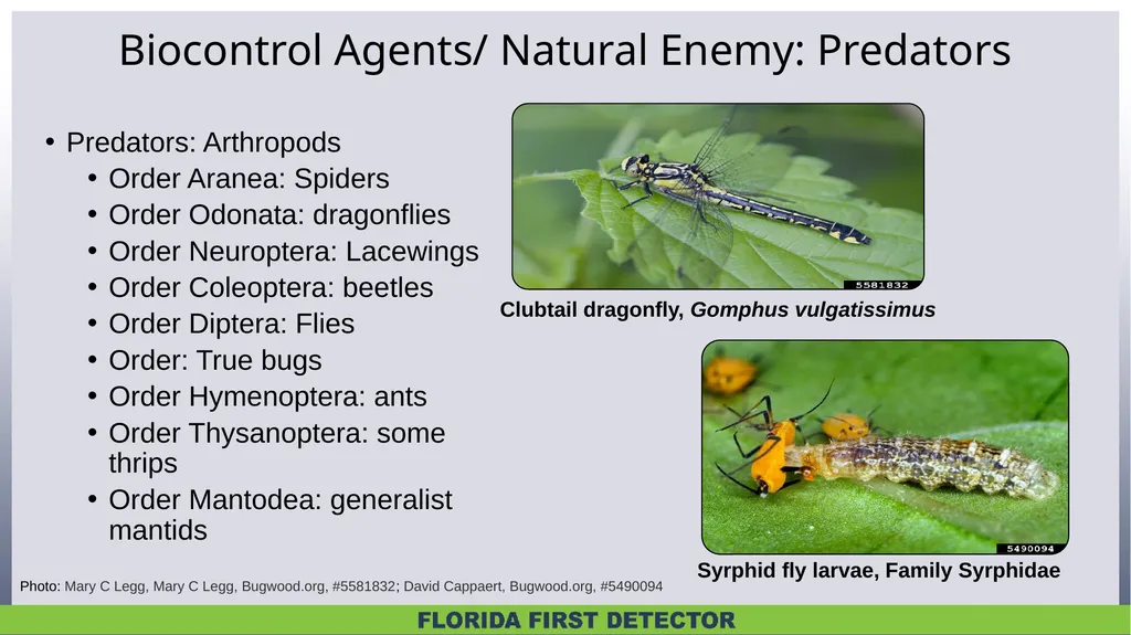 Biological Controls Biological control – - slide 3 of 21