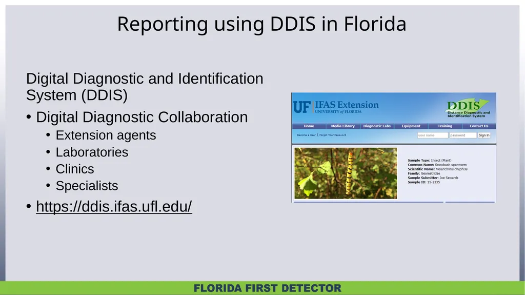 Biological Controls Biological control – - slide 17 of 21