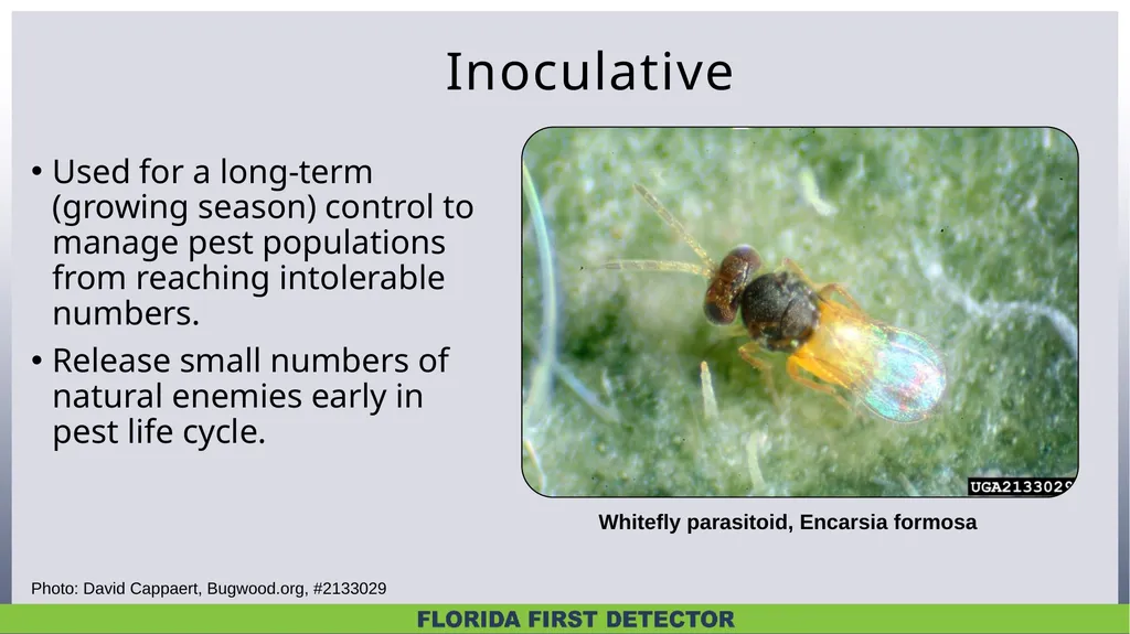 Biological Controls Biological control – - slide 12 of 21