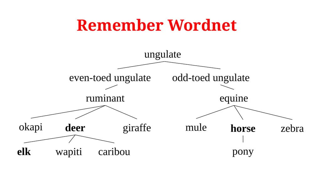 NLP Text Similarity Thesaurus-based Word - slide 5 of 11
