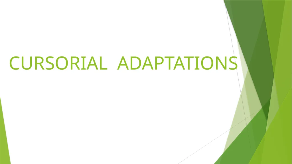CURSORIAL ADAPTATIONS Acinonyx jubatus Cheetah - slide 1 of 12