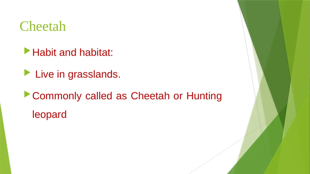 CURSORIAL ADAPTATIONS Acinonyx jubatus Cheetah - slide 3 of 12
