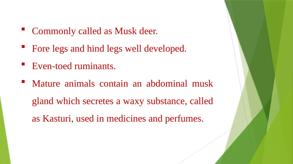 CURSORIAL ADAPTATIONS Acinonyx jubatus Cheetah - slide 11 of 12