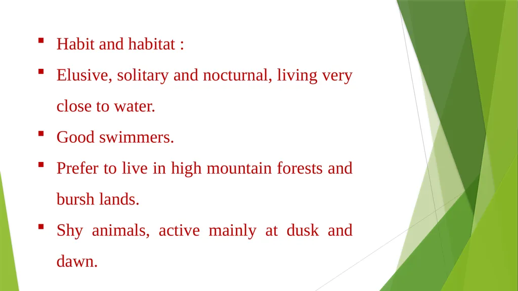 CURSORIAL ADAPTATIONS Acinonyx jubatus Cheetah - slide 10 of 12