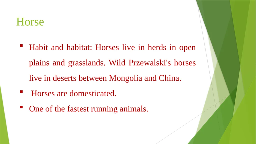 CURSORIAL ADAPTATIONS Acinonyx jubatus Cheetah - slide 6 of 12
