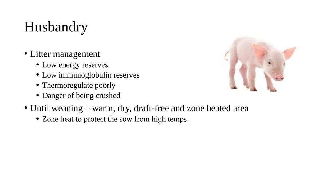 Swine module husbandry and training module Adapted - slide 11 of 29
