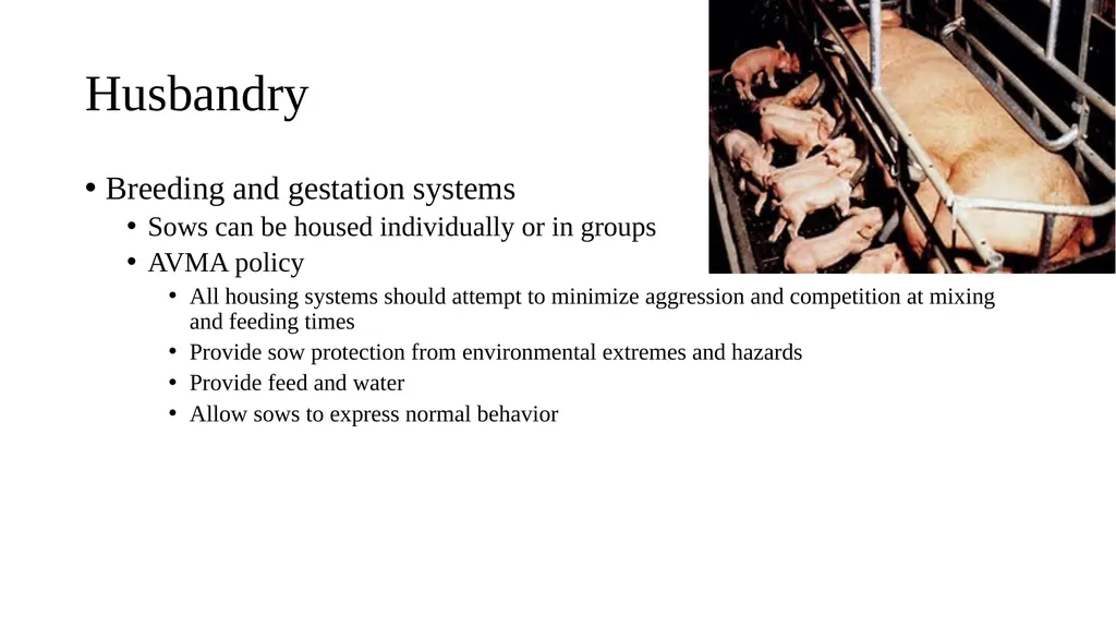 Swine module husbandry and training module Adapted - slide 17 of 29