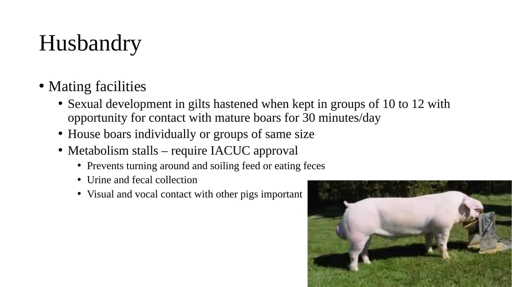 Swine module husbandry and training module Adapted - slide 21 of 29