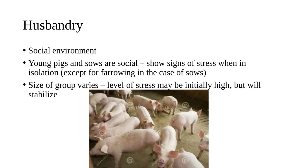 Swine module husbandry and training module Adapted - slide 6 of 29