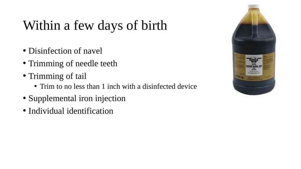 Swine module husbandry and training module Adapted - slide 12 of 29