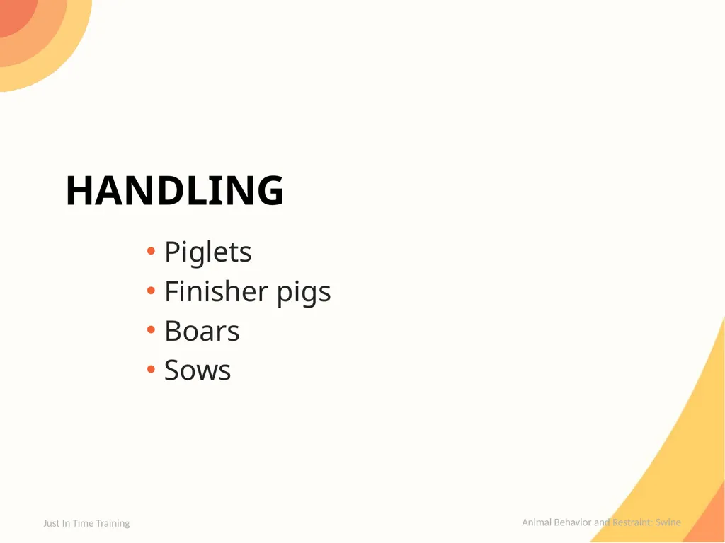 Animal Behavior & Restraint Swine Behavior Just In - slide 5 of 18