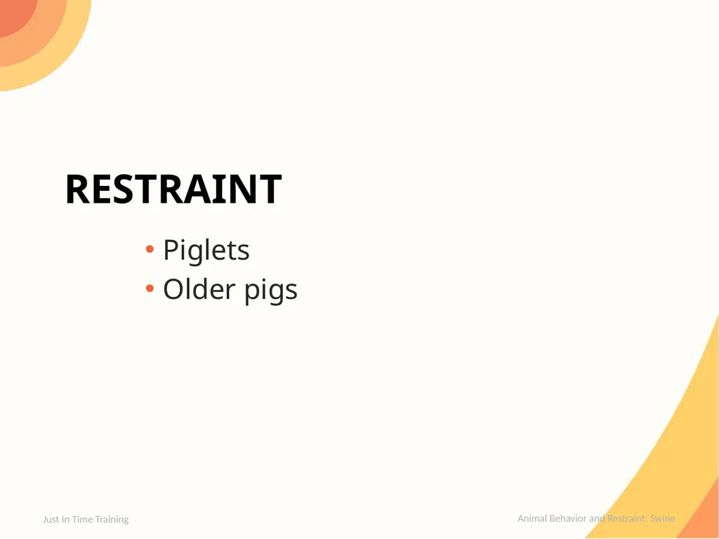 Animal Behavior & Restraint Swine Behavior Just In - slide 13 of 18