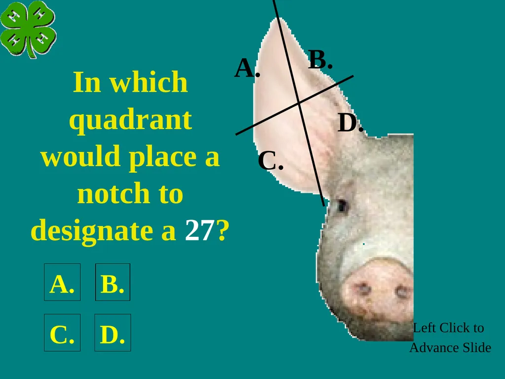Swine Skillathon Practice Left Click to Advance - slide 111 of 123