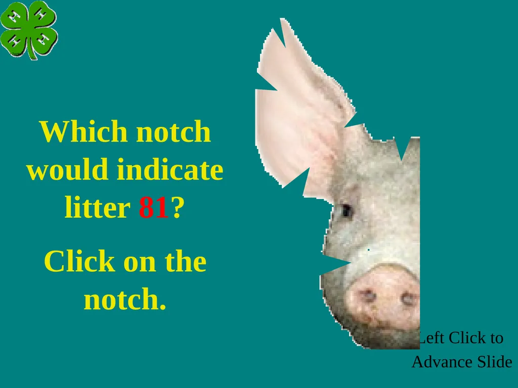 Swine Skillathon Practice Left Click to Advance - slide 112 of 123