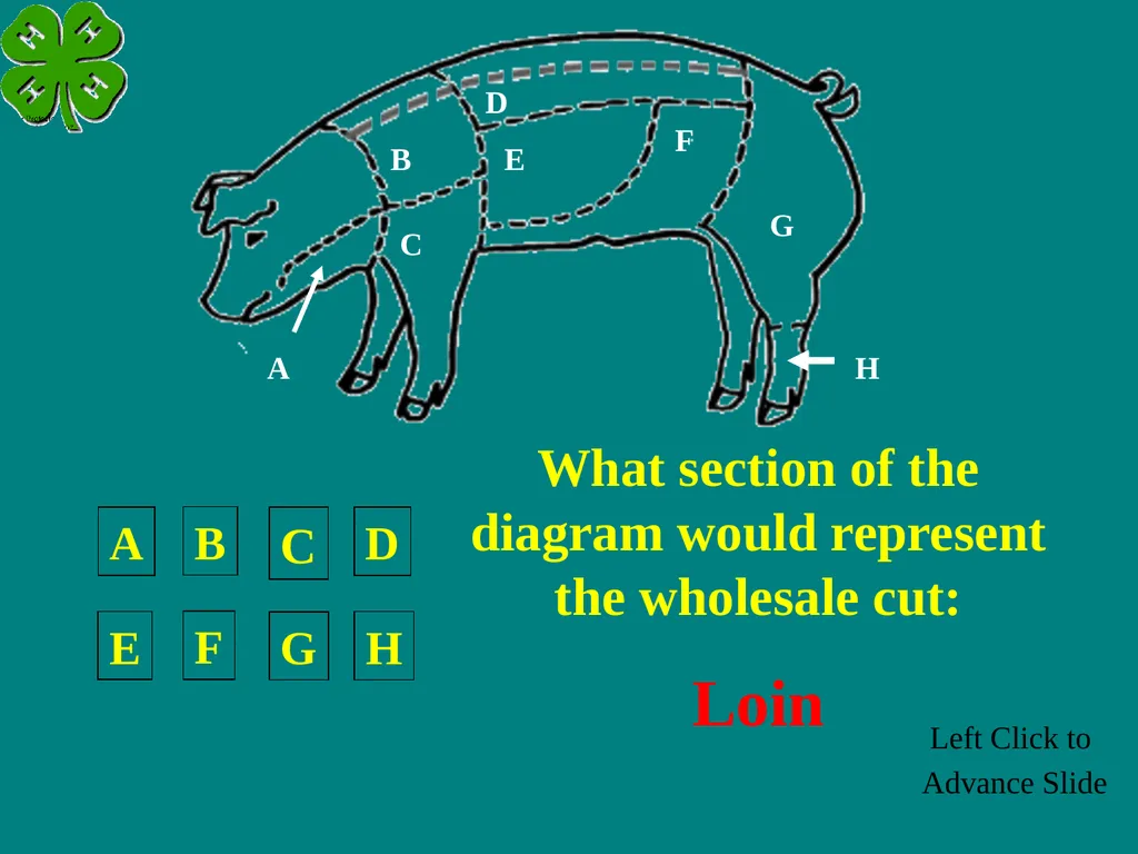 Swine Skillathon Practice Left Click to Advance - slide 41 of 123