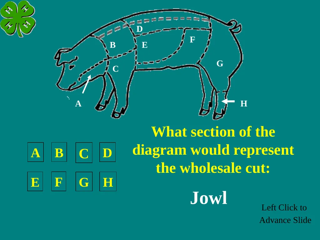 Swine Skillathon Practice Left Click to Advance - slide 42 of 123