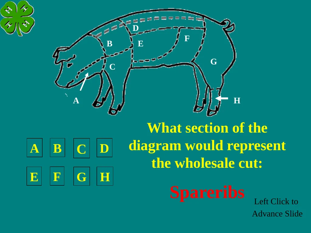 Swine Skillathon Practice Left Click to Advance - slide 43 of 123