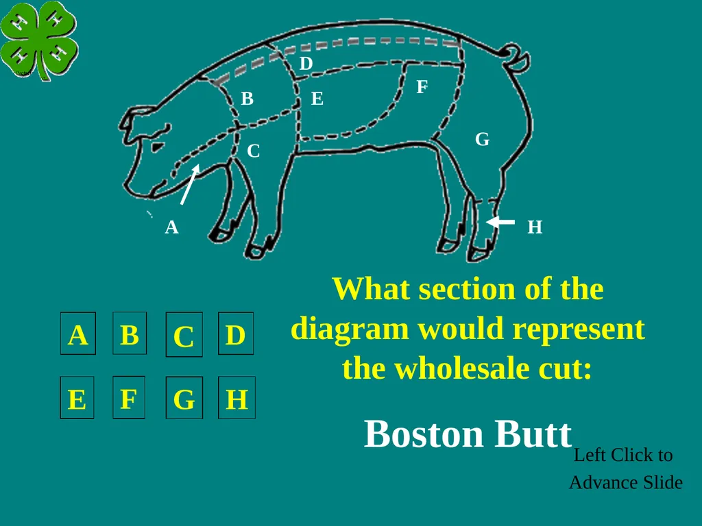 Swine Skillathon Practice Left Click to Advance - slide 44 of 123