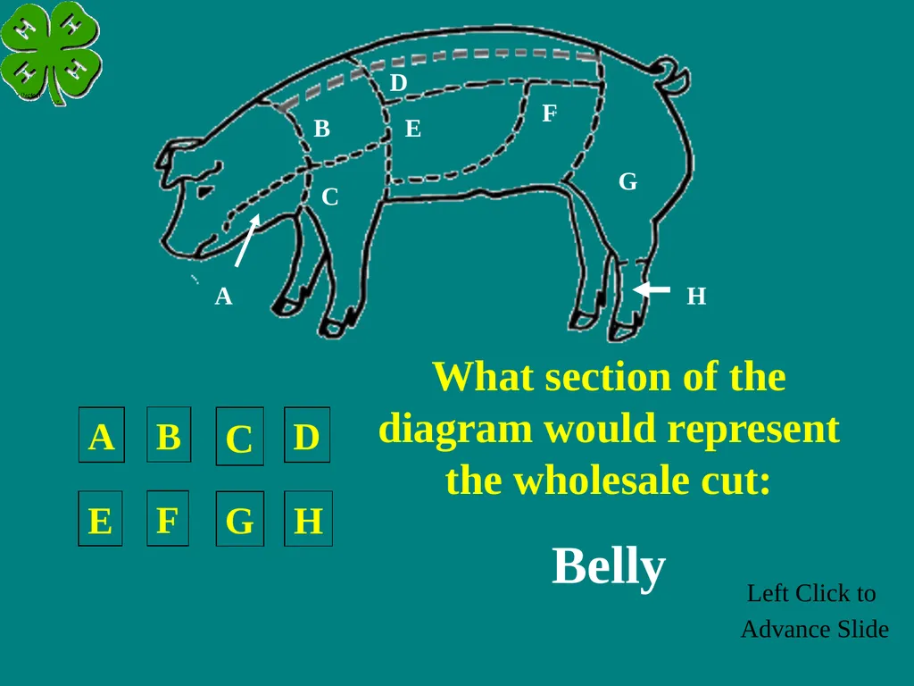 Swine Skillathon Practice Left Click to Advance - slide 46 of 123