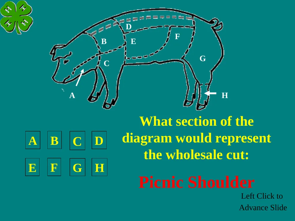 Swine Skillathon Practice Left Click to Advance - slide 47 of 123
