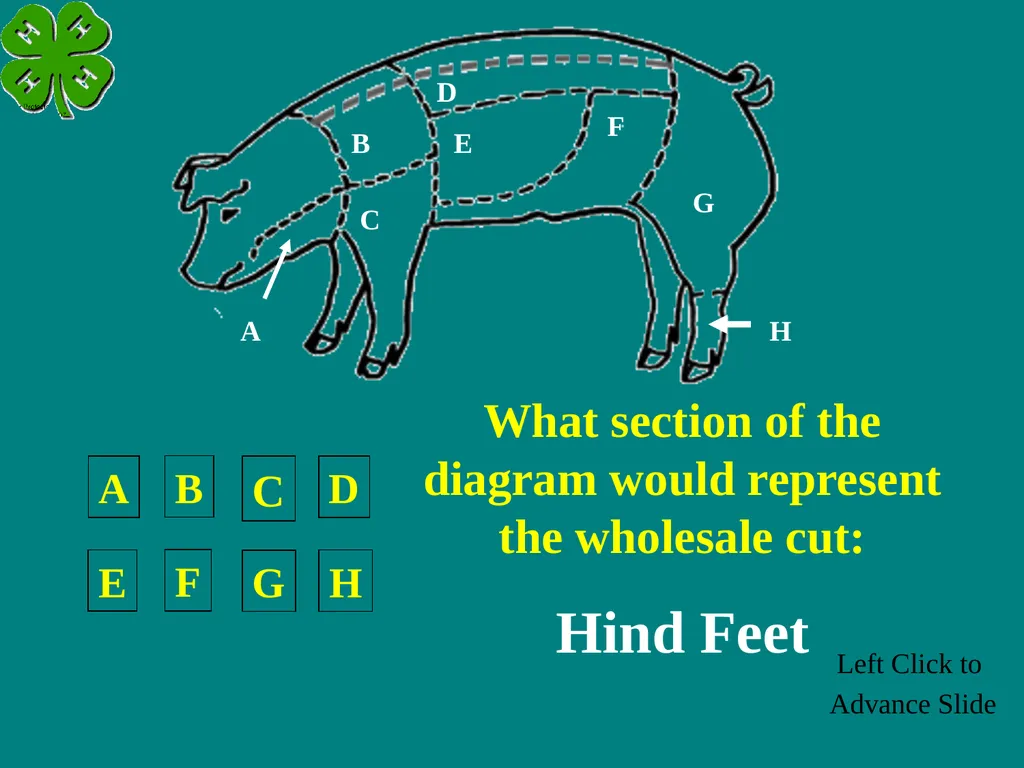 Swine Skillathon Practice Left Click to Advance - slide 48 of 123