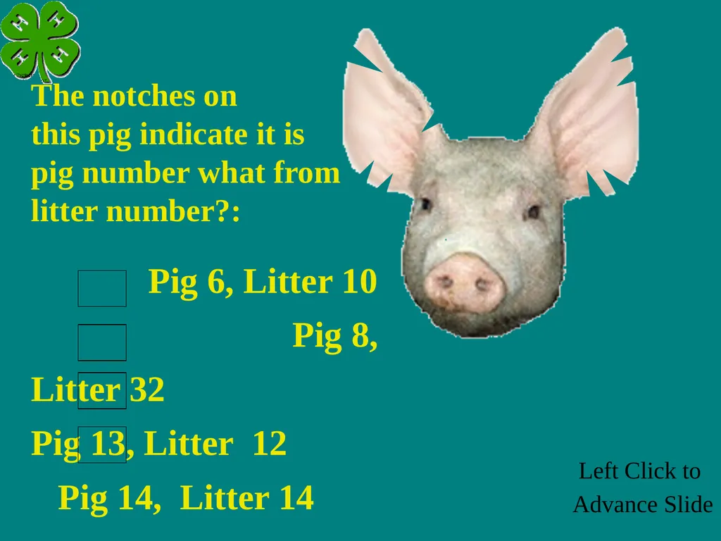 Swine Skillathon Practice Left Click to Advance - slide 116 of 123