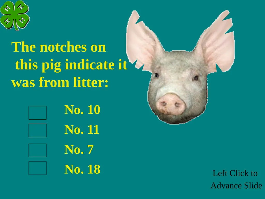Swine Skillathon Practice Left Click to Advance - slide 114 of 123