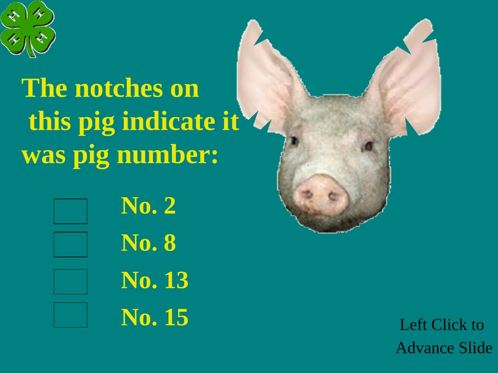 Swine Skillathon Practice Left Click to Advance - slide 115 of 123