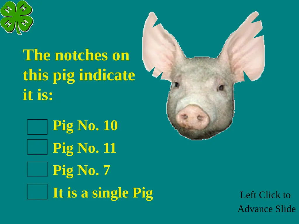 Swine Skillathon Practice Left Click to Advance - slide 113 of 123