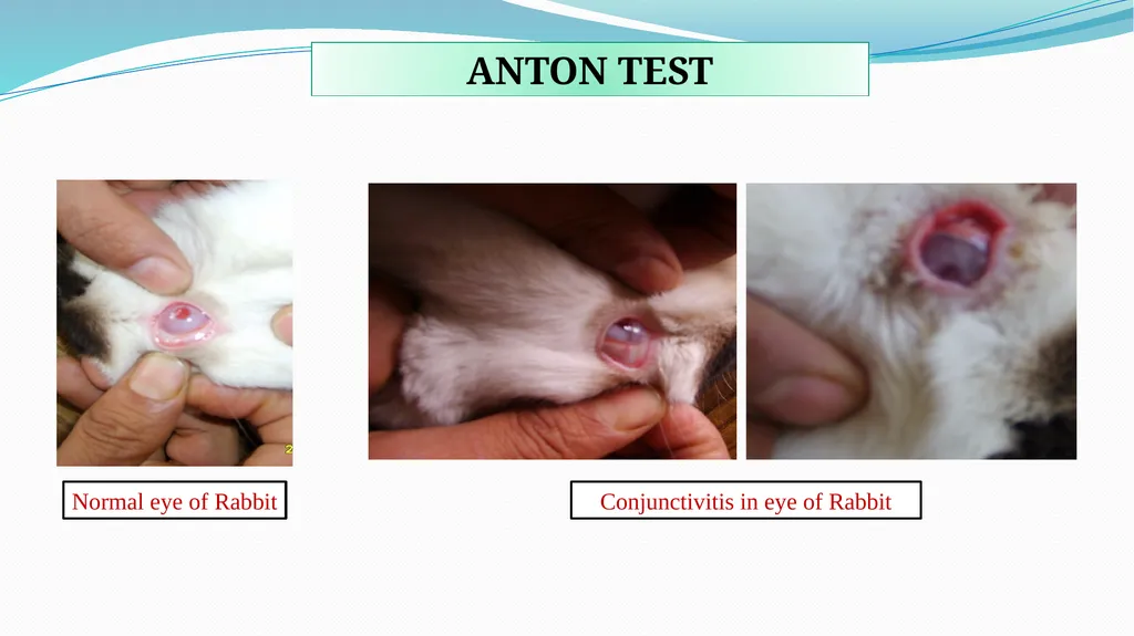 ‘Veterinary Epidemiology & Zoonoses’ VPH-321 - slide 15 of 18