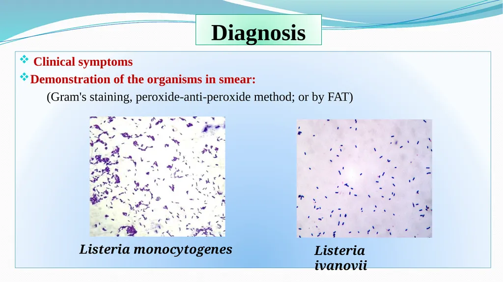 ‘Veterinary Epidemiology & Zoonoses’ VPH-321 - slide 11 of 18