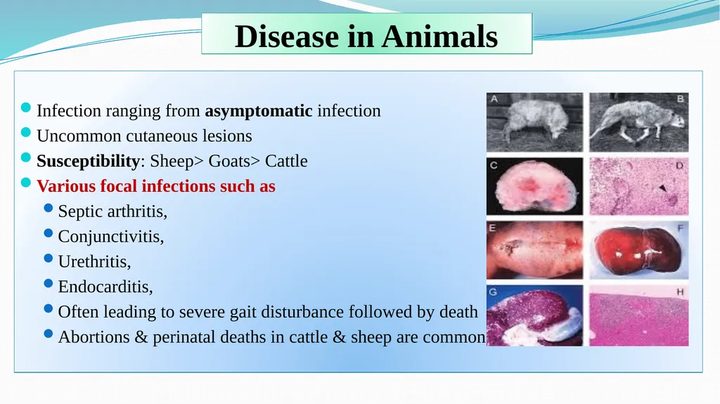 ‘Veterinary Epidemiology & Zoonoses’ VPH-321 - slide 8 of 18