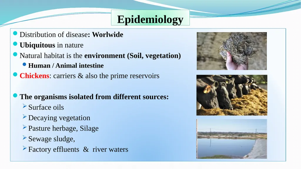 ‘Veterinary Epidemiology & Zoonoses’ VPH-321 - slide 4 of 18
