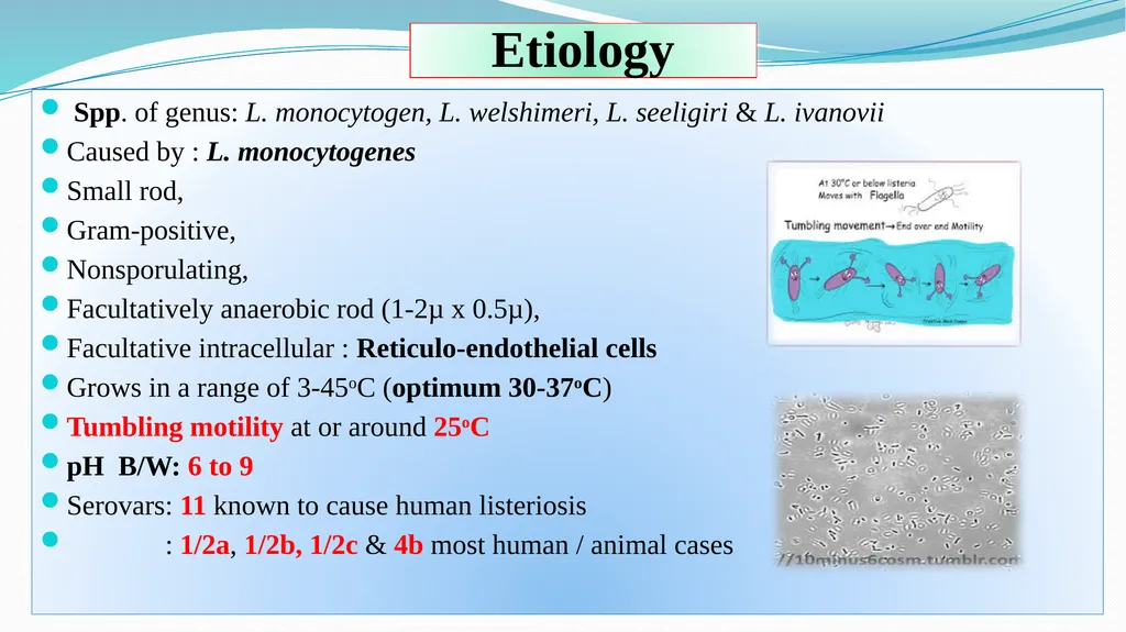 ‘Veterinary Epidemiology & Zoonoses’ VPH-321 - slide 3 of 18