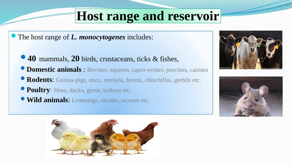‘Veterinary Epidemiology & Zoonoses’ VPH-321 - slide 5 of 18