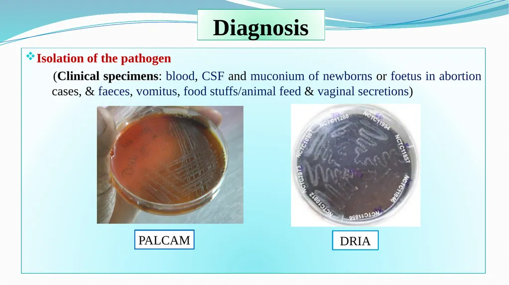 ‘Veterinary Epidemiology & Zoonoses’ VPH-321 - slide 12 of 18