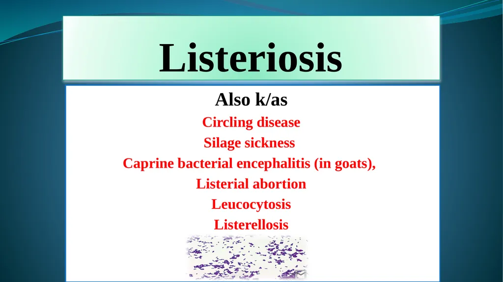 ‘Veterinary Epidemiology & Zoonoses’ VPH-321 - slide 2 of 18