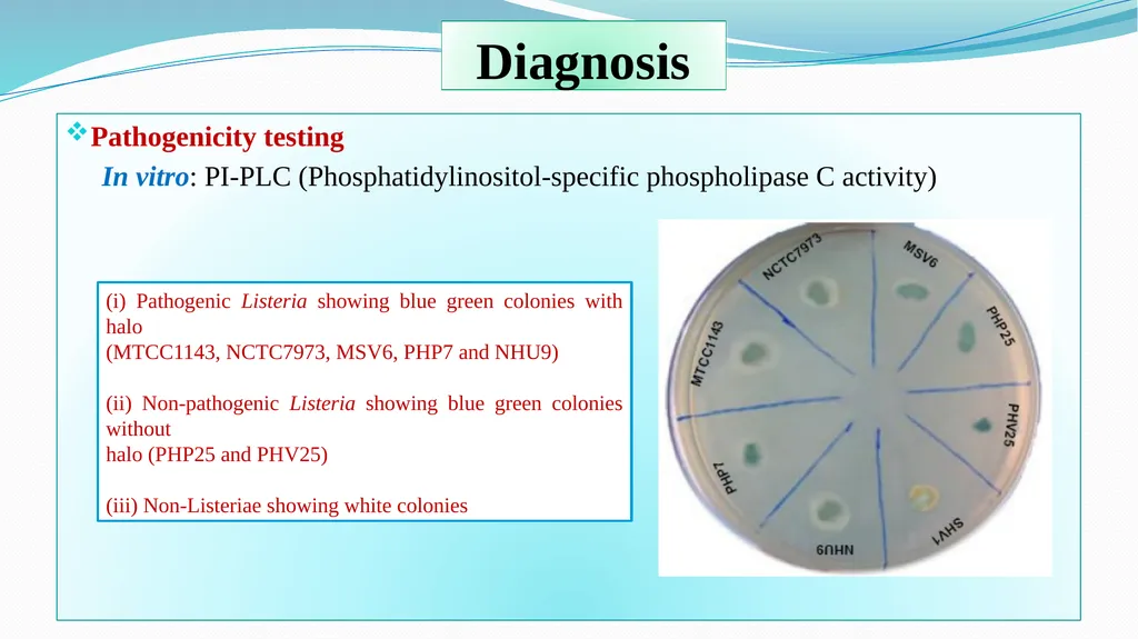 ‘Veterinary Epidemiology & Zoonoses’ VPH-321 - slide 13 of 18