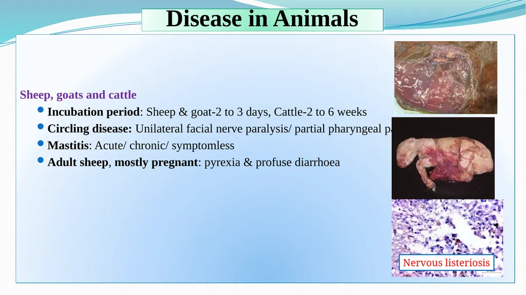 ‘Veterinary Epidemiology & Zoonoses’ VPH-321 - slide 9 of 18