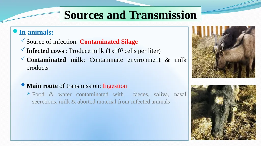 ‘Veterinary Epidemiology & Zoonoses’ VPH-321 - slide 6 of 18