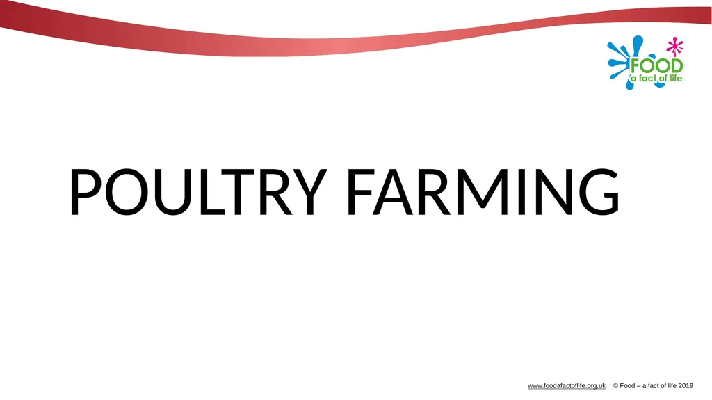 POULTRY FARMING Introduction Chicken, turkey, duck - slide 1 of 12
