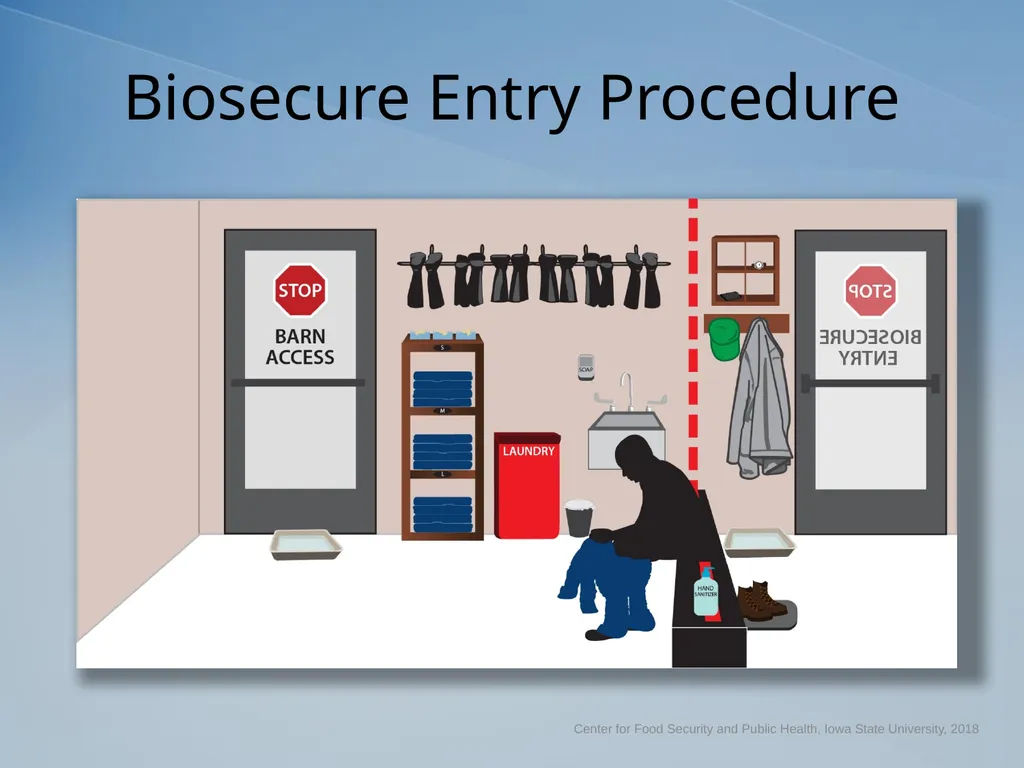 Understanding the Line of Separation Biosecurity - slide 10 of 16