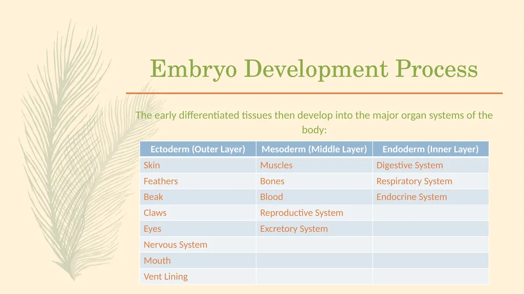 POULTRY SCIENCE: Hatchery Operation Unit 11 - slide 15 of 31