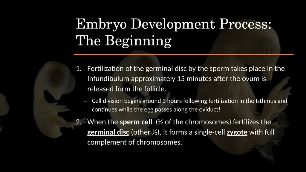 POULTRY SCIENCE: Hatchery Operation Unit 11 - slide 13 of 31