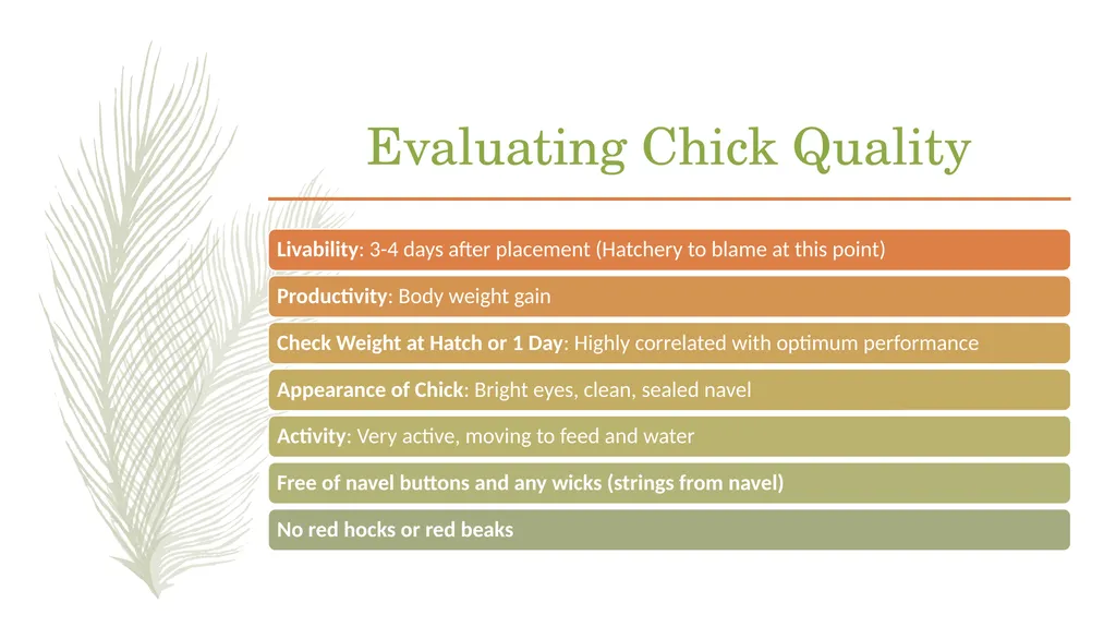 POULTRY SCIENCE: Hatchery Operation Unit 11 - slide 30 of 31