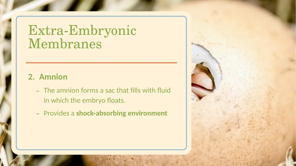 POULTRY SCIENCE: Hatchery Operation Unit 11 - slide 18 of 31